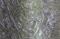 Bascote fibreglass roof work